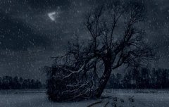 [아이유]해킹 범죄에 관여하여, 공범으로 형사 처벌