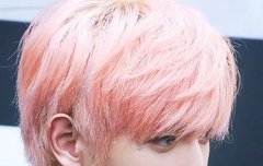 첨 보는 레어사진