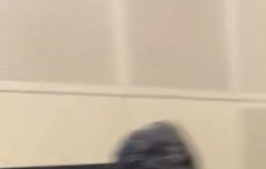 아르망 손이 얼마나 큰거야