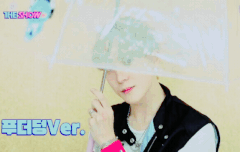 비오는 화요일 티즈들과 함께 좋은 하루 보내자