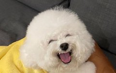 에드 왤케 웃는거 이쁨 ㅠㅠ