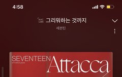 콘서트 얘기 여기서 하자!