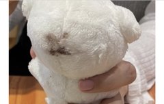 ㅋㅋㅋㅋㅋ이거 넘 웃곀ㅋㅋㅋ