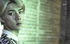 세훈아 보고싶다