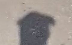 귀여워서 소리지름ㅋㅋㅋㅋㅋㅋㅋ