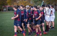 럭비 사진에 바비랑 루이스!!