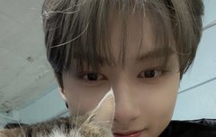 고양이  두 마리