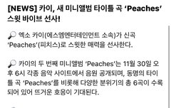 종인이 노래 설명 삐삐