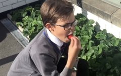 딸기먹방 아르망! 