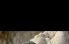 혹시 이거 툥이 타투야?