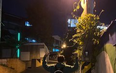 툥요 행복하게 보내