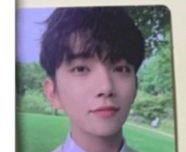 조슈아 포카 시세