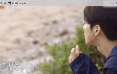 fox 같은 차은우 모음집