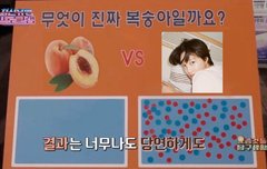 사진 주웟는데 개웃기네