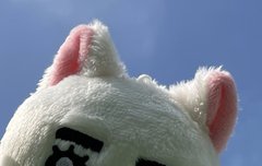 통낭이도 대게 기엽다