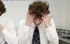 레이 하비는 정말