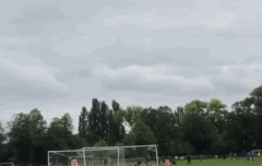 해리 럭비하는 짤 보고가ㅠㅠㅠ