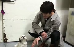 댱댕이가 툥이하고 안놀아줌