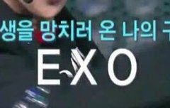 인생에 엑소가 찐하게감겨버렷다