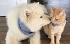 얘드라 요즘 너무 심심하지만...