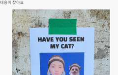 예 태용이 찾습니다