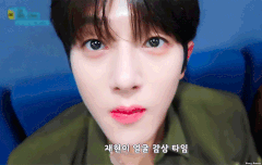 카메라에 얼굴 들이미는 강강쥐