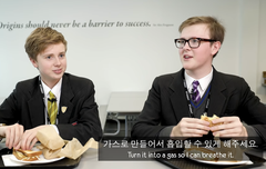 키튼 이때 너무 귀여워