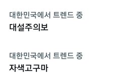 실트에 자색고구마 오른거 실화냐