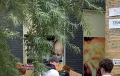 자자 아르망 뒷모습 보고가!