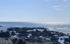 하 얘들아 이거 어디 올라온 거였냐