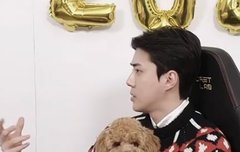 허 이 갈푸 표정봐