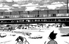 하이큐 애기들 ,,,,,,,,,,,,,,,