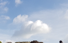 얘두라 이제 허락 다 받아서 .. 올릴께 ..ㅎㅁㅎ