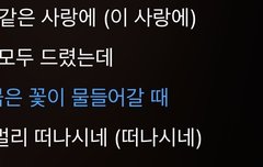 나 이 가사 너무좋아