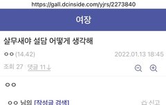 민주당 전속킬러 설담이가 죽어라 미는글