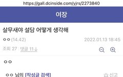 디시 여장갤러리 고닉 설담이 민주당 킬러입니다