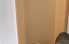 louis williams sebastian junior...