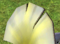 사담)a lotus leaf umbrella