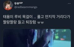 얘들아 이 영상 봤냐