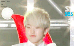 데뷔후 처음 맞는 호랑이 해라