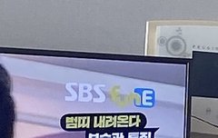 이정도면 승관이 걍 호랑이띠인듯ㅋㅋㅋㅋ