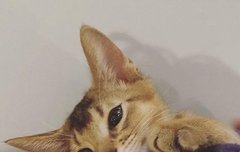 사진 출처 좀 찾아줘 ㅠㅠ