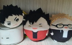 하이큐 인형 샀어 ~~!!