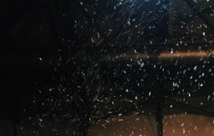 이 사진 이쁘지 않아?