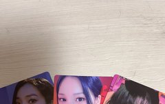 비폠 포카 진심 혜자