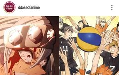 하이큐 20일 신규소식 공개