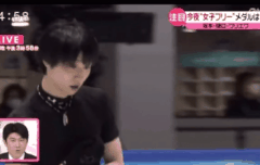 실시간 하뉴 보고가