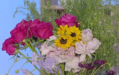 이 꽃이 라이브하려고 직접 사온 꽃이었다니....