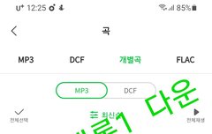 숨스 열스 화이팅입니다!!