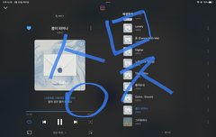 일간 1위